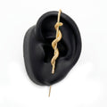 Coiled Snake