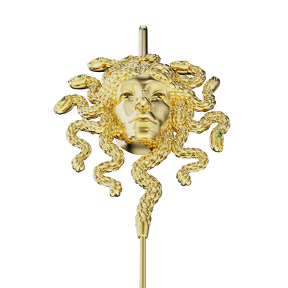 Medusa's Gaze