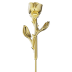 Radiant Rose