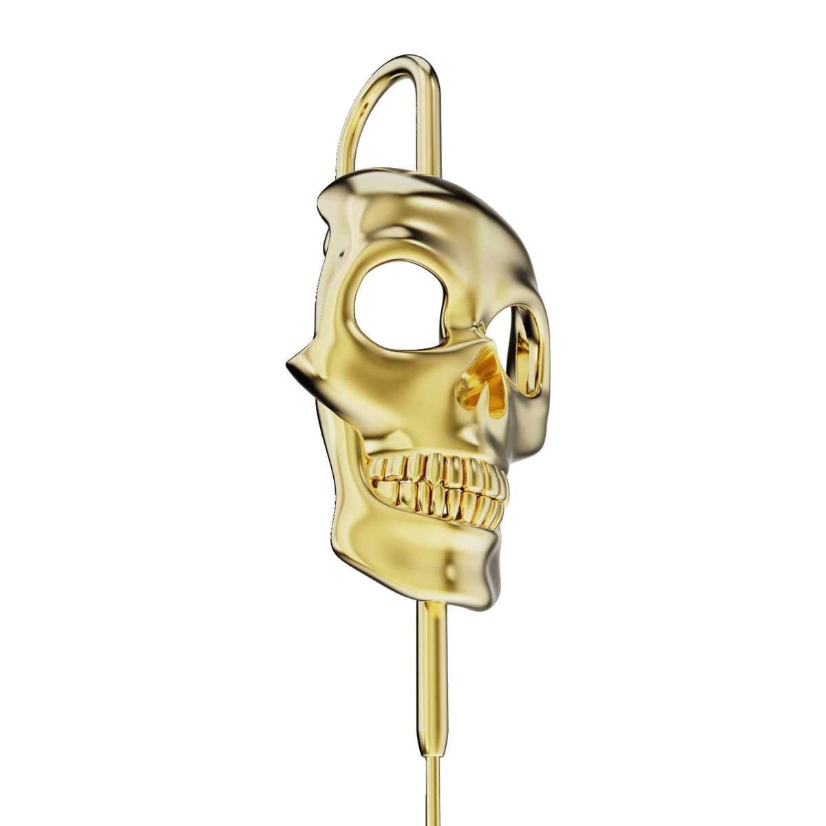 Raw Skull